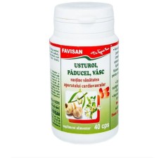 Usturoi paducel vasc, 40 capsule, Favisan 