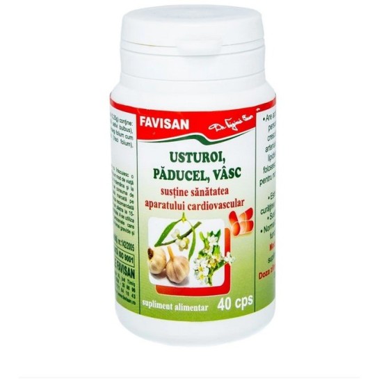 Usturoi paducel vasc, 40 capsule, Favisan 
