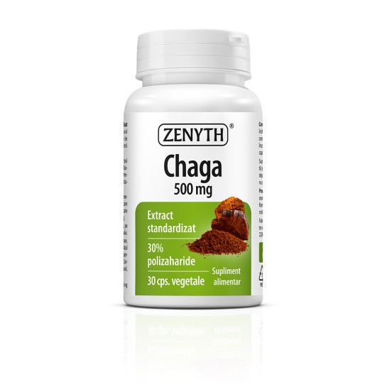 Chaga extract 500 mg, 30 capsule, Zenyth