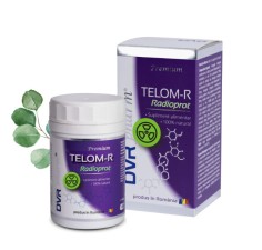 Telom-R radioprot, 120 capsule, DVR Pharma