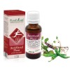 Antialcool plant 30ml, PlantExtrakt