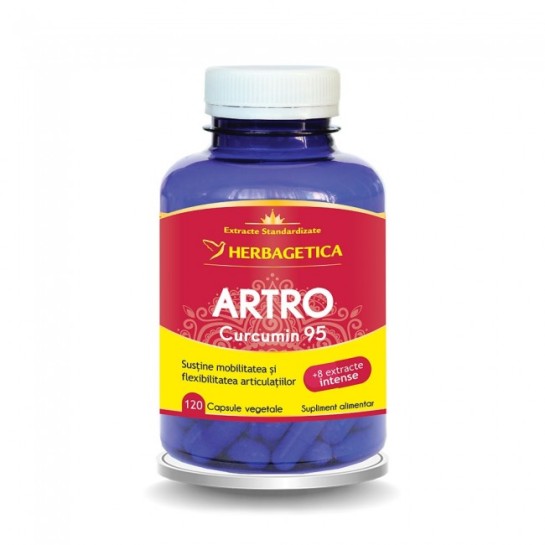 Artro curcumin 95 120 capsule, Herbagetica
