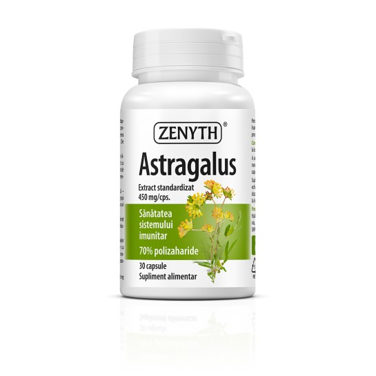 Astragalus, 450mg, 30 capsule, Zenyth 