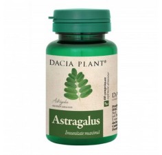 Astragalus, 60 comprimate, Dacia Plant
