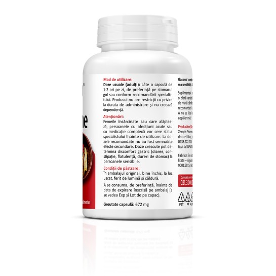 Berberine 500mg, 60 capsule, Zenyth