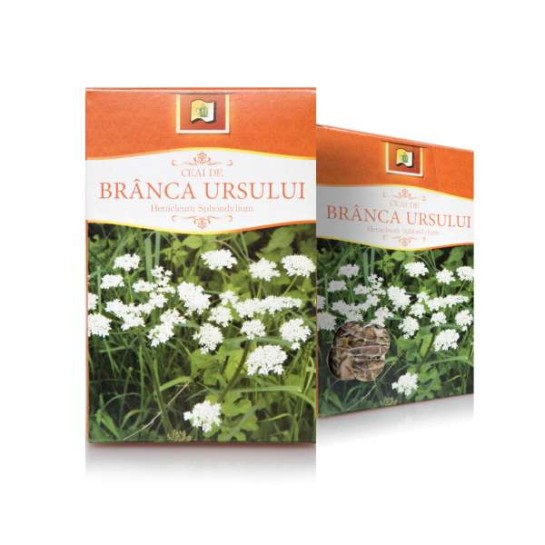 Ceai branca ursului, 50g, Stef Mar