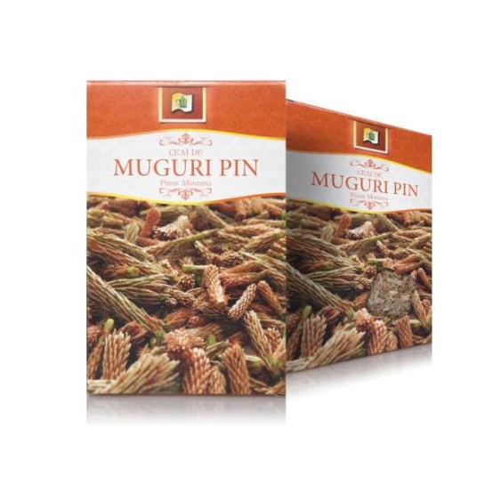 Ceai muguri pin, 50g, Stef Mar