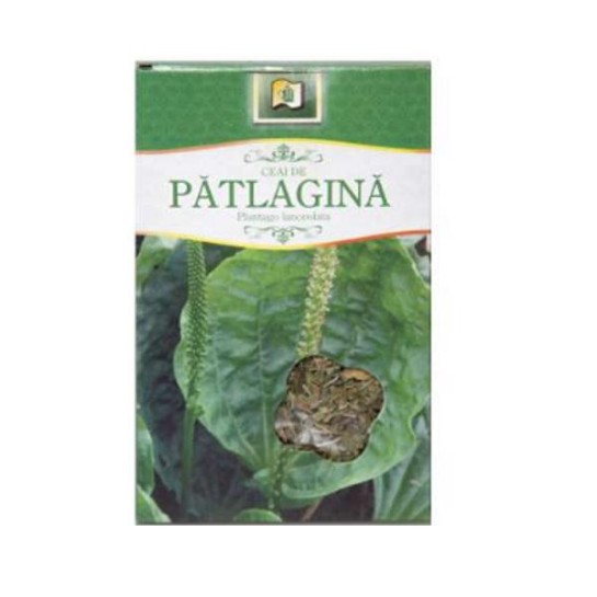 Ceai pătlagină, 50g, Stef Mar