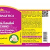 Coama Leului 60 capsule vegetale, Herbagetica