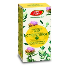 Colesterol 2, M105A, 63 capsule, Fares