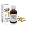 Extract amenti mesteacăn pufos (Betula pubescens) 50ml, PlantExtrakt