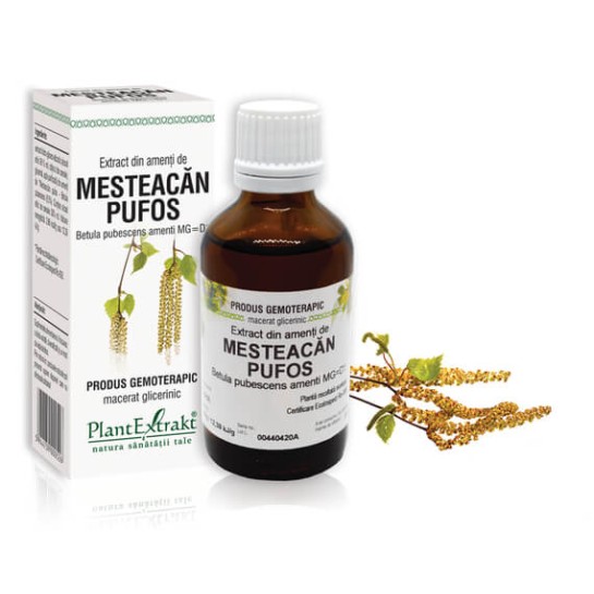 Extract amenti mesteacăn pufos (Betula pubescens) 50ml, PlantExtrakt
