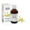 Extract amenti salcie (Salix alba amenti) 50ml, PlantExtrakt
