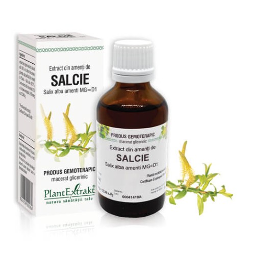 Extract amenti salcie (Salix alba amenti) 50ml, PlantExtrakt