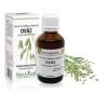 Extract din mlădite si radicele de ovăz (Avena sativa) 50ml, PlantExtrakt