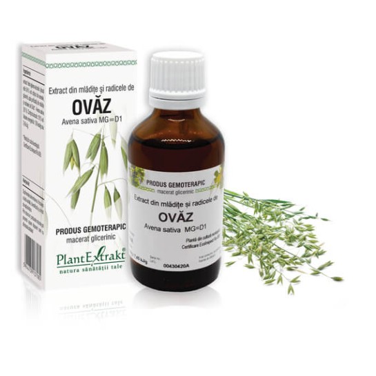 Extract din mlădite si radicele de ovăz (Avena sativa) 50ml, PlantExtrakt