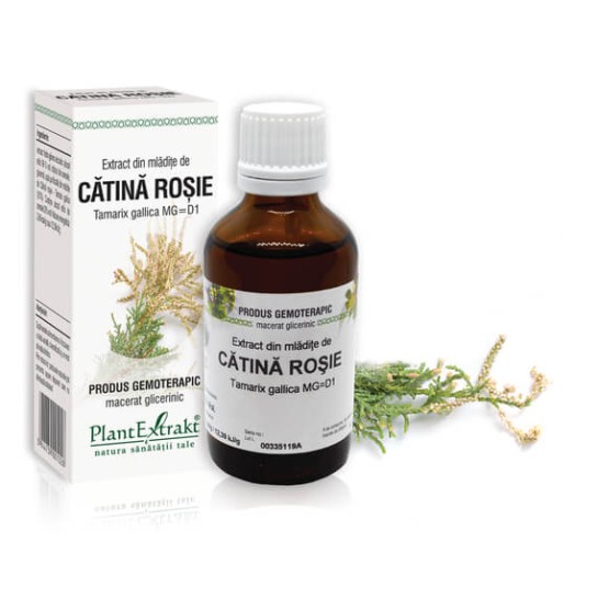 Extract mlădite cătina rosie (Tamarix gallica) 50ml, PlantExtrakt