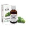 Extract mlădite cedru (Cedrus libani) 50ml, PlantExtrakt