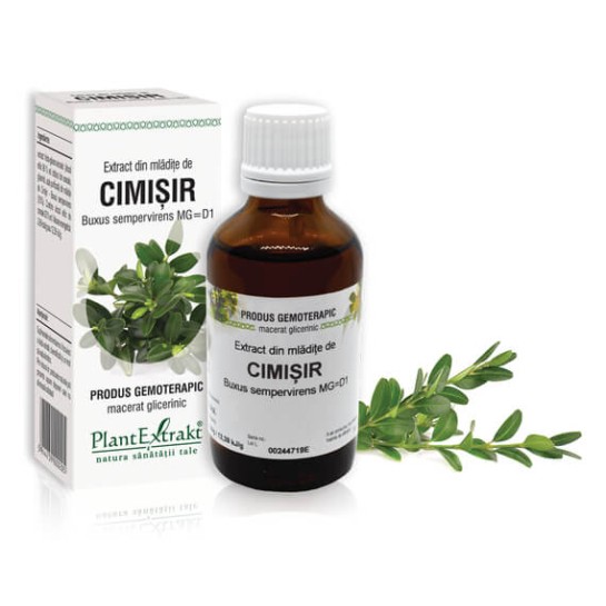 Extract mlădite cimisir  (Buxus sempervirens) 50ml, PlantExtrakt