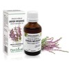 Extract mlădite iarbă neagră (Calluna vulgaris) 50ml, PlantExtrakt