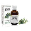 Extract mlădite ienupar (Juniperus communis) 50ml, PlantExtrakt