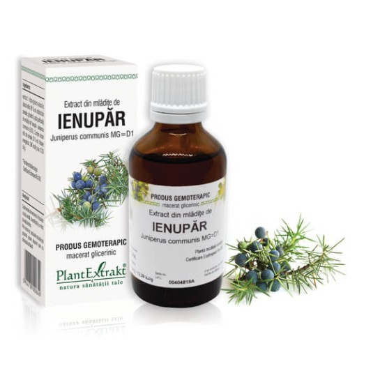 Extract mlădite ienupar (Juniperus communis) 50ml, PlantExtrakt