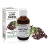 Extract mlădite lemn cainesc (Ligustrum vulgare) 50ml, PlantExtrakt