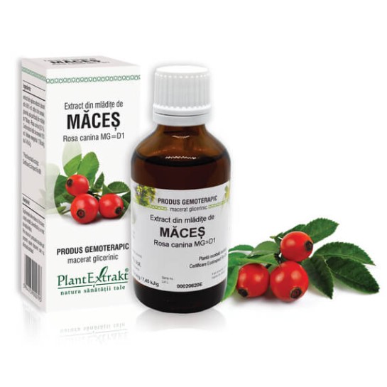 Extract mlădite măces (Rosa canina) 50ml, PlantExtrakt