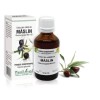 Extract mlădite măslin (Olea europaea) 50ml, PlantExtrakt