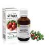 Extract mlădite merisor (Vaccinium vitis idaea) 50ml, PlantExtrakt