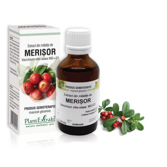 Extract mlădite merisor (Vaccinium vitis idaea) 50ml, PlantExtrakt