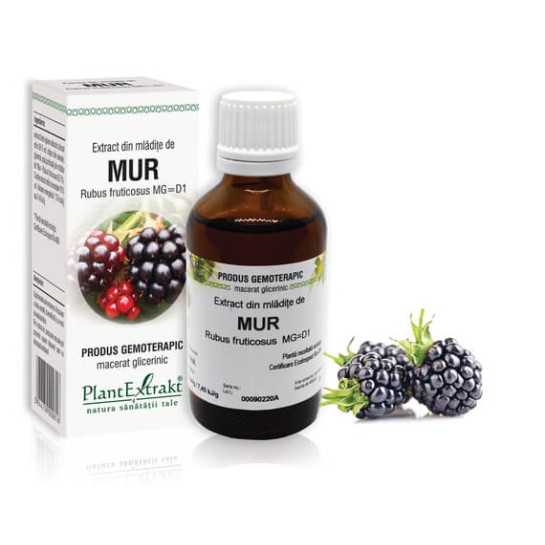 Extract mlădite mur (Rubus fructicosus) 50ml, PlantExtrakt