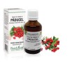 Extract mlădite păducel (Crataegus oxyacantha) 50ml, PlantExtrakt