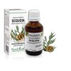 Extract mlădite sequoia (Sequoia gigantea) 50ml, PlantExtrakt