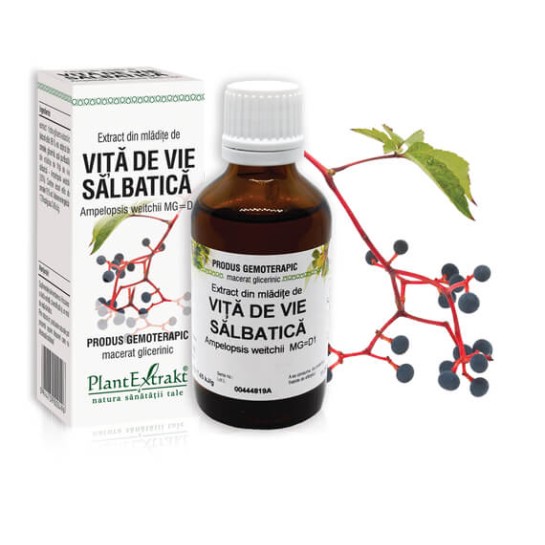 Extract mlădite vită de vie sălbatică (Ampelopsis weitchii) 50ml, PlantExtrakt