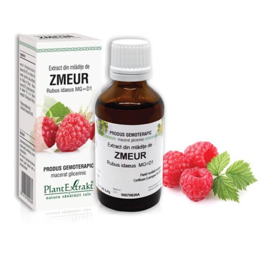 Extract mlădite zmeur (Rubus idaeus) 50ml, PlantExtrakt