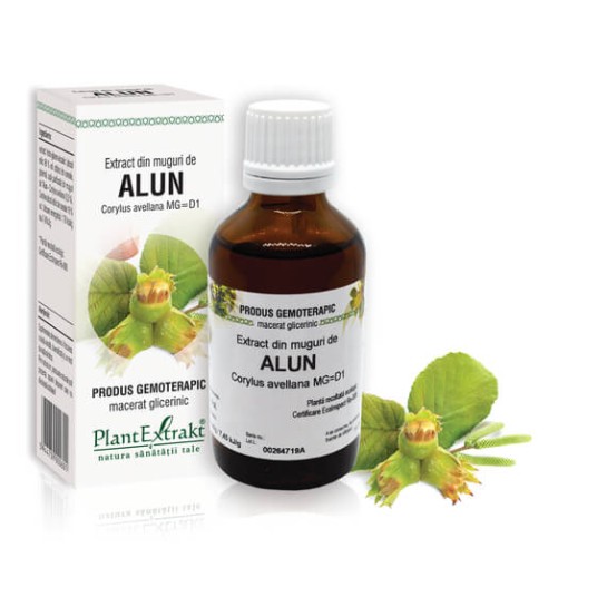 Extract muguri alun (Corylus avellana) 50ml, PlantExtrakt