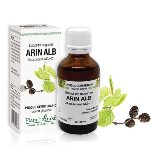 Extract muguri arin alb (Alnus incana) 50ml, PlantExtrakt