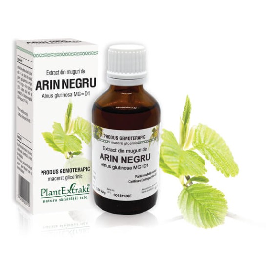 Extract muguri arin negru (Alnus glutinosa) 50ml, PlantExtrakt