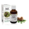 Extract muguri brad (Abies pectinata) 50ml, PlantExtrakt