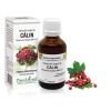 Extract muguri călin (Viburnum lantana) 50ml, PlantExtrakt