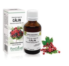 Extract muguri calin (Viburnum lantana) 50ml, PlantExtrakt