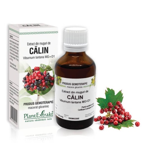 Extract muguri călin (Viburnum lantana) 50ml, PlantExtrakt