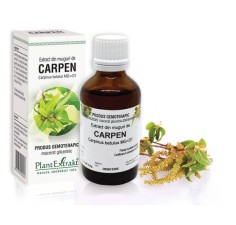 Extract muguri carpen (Carpinus betulus) 50ml, PlantExtrakt