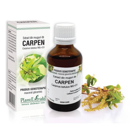 Extract muguri carpen (Carpinus betulus) 50ml, PlantExtrakt