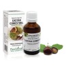 Extract muguri castan comestibil (Castanea vesca) 50ml, PlantExtrakt