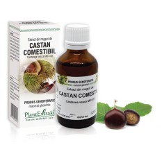 Extract muguri castan comestibil (Castanea vesca) 50ml, PlantExtrakt