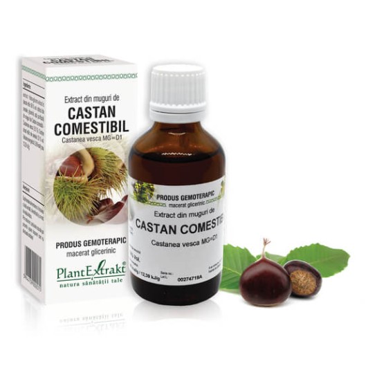 Extract muguri castan comestibil (Castanea vesca) 50ml, PlantExtrakt