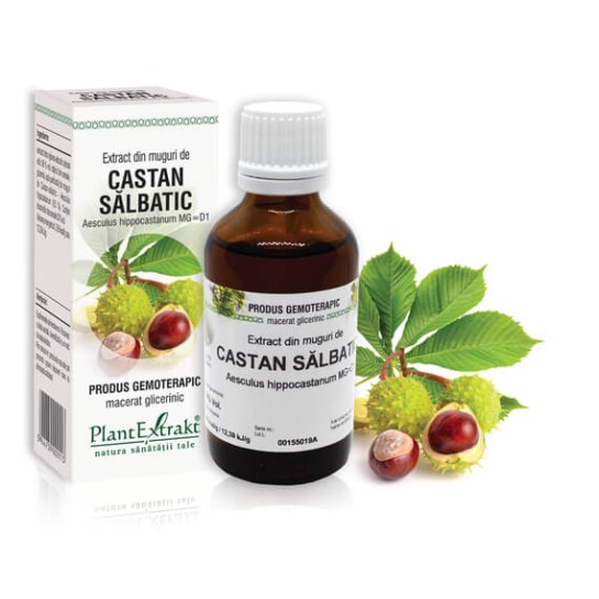 Extract muguri castan sălbatic (Aesculus hippocastanum) 50ml, PlantExtrakt