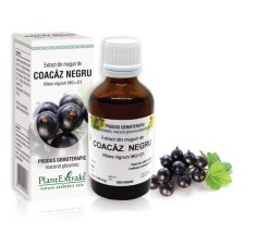Extract muguri coacaz negru (Ribes nigrum) 50ml, PlantExtrakt